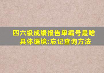 四六级成绩报告单编号是啥 具体语境:忘记查询方法